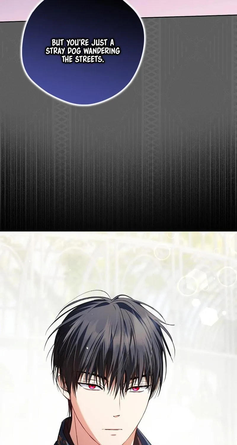 An Extra Stole the Male Leads Chapter 23 page 23 - 