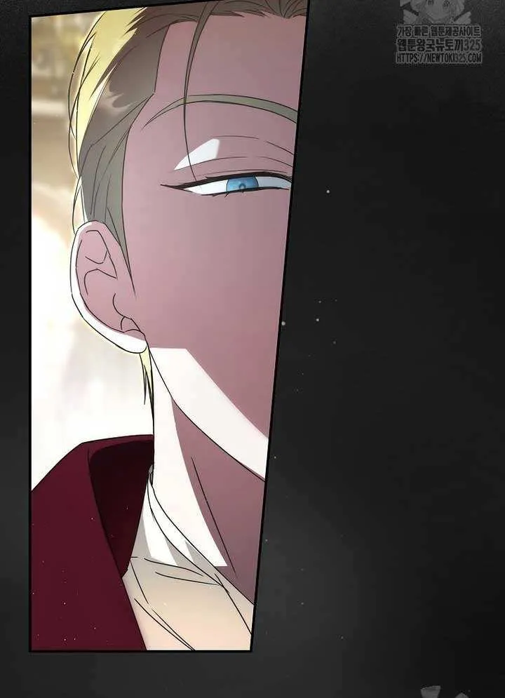 An Extra Stole the Male Leads Chapter 29 page 90 - 