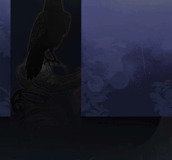 An Extra Stole the Male Leads Chapter 30 page 11 - 