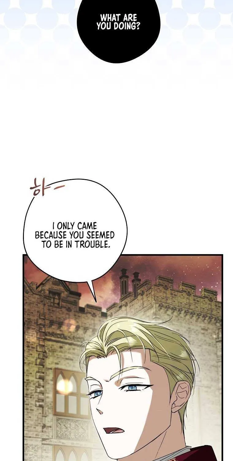 An Extra Stole the Male Leads Chapter 31 page 27 - 