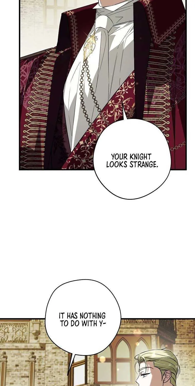 An Extra Stole the Male Leads Chapter 31 page 28 - 