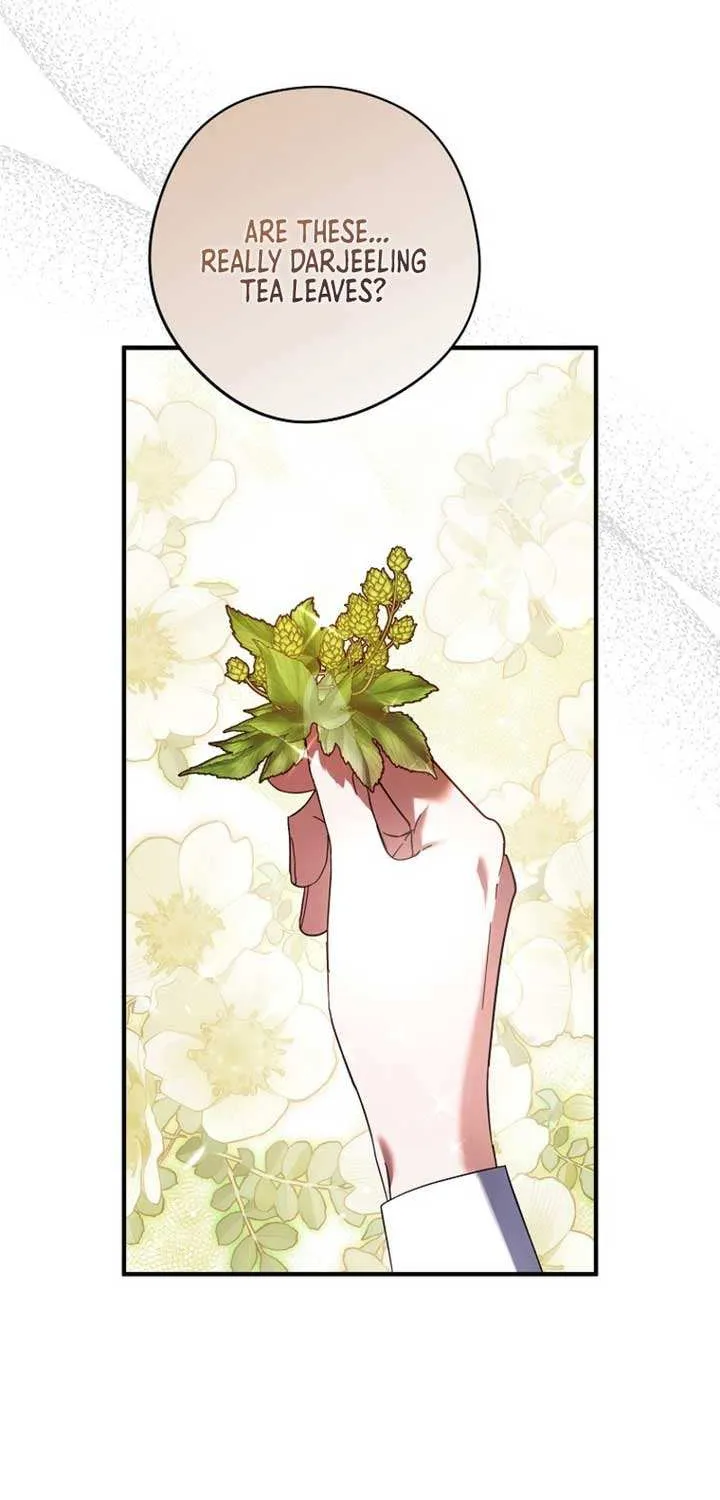 An Extra Stole the Male Leads Chapter 33 page 80 - 