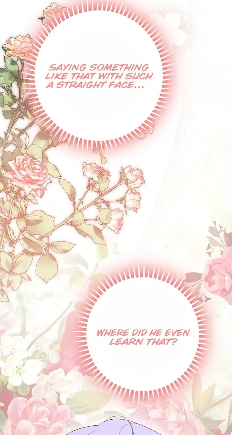 An Extra Stole the Male Leads Chapter 41 page 5 - 