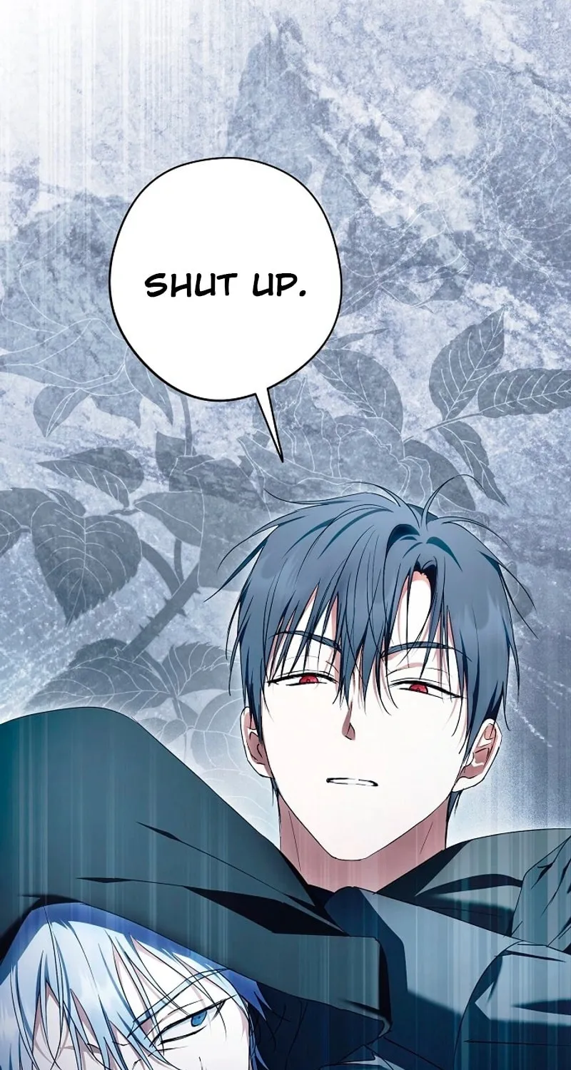 An Extra Stole the Male Leads Chapter 43 page 13 - 