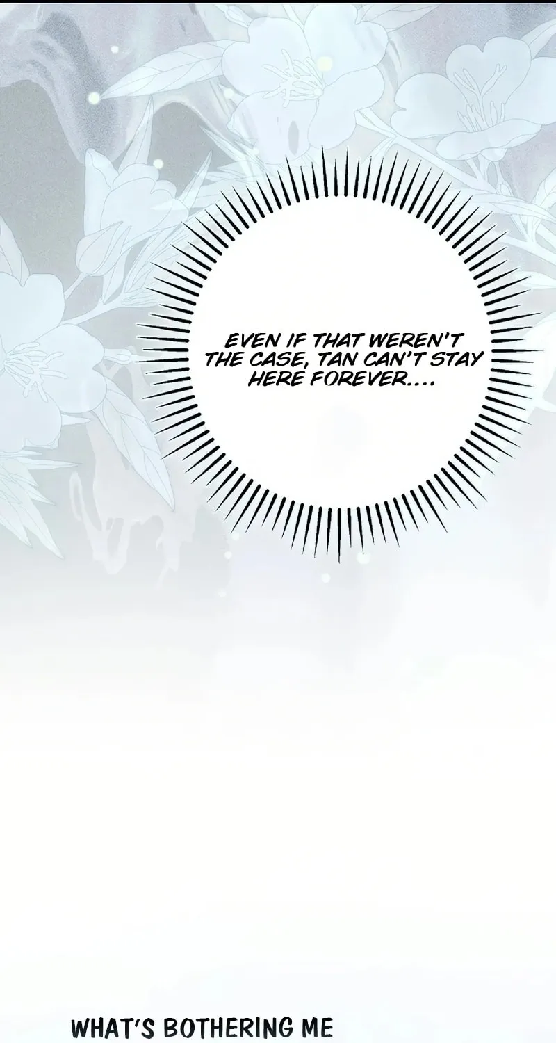 An Extra Stole the Male Leads Chapter 45 page 56 - 