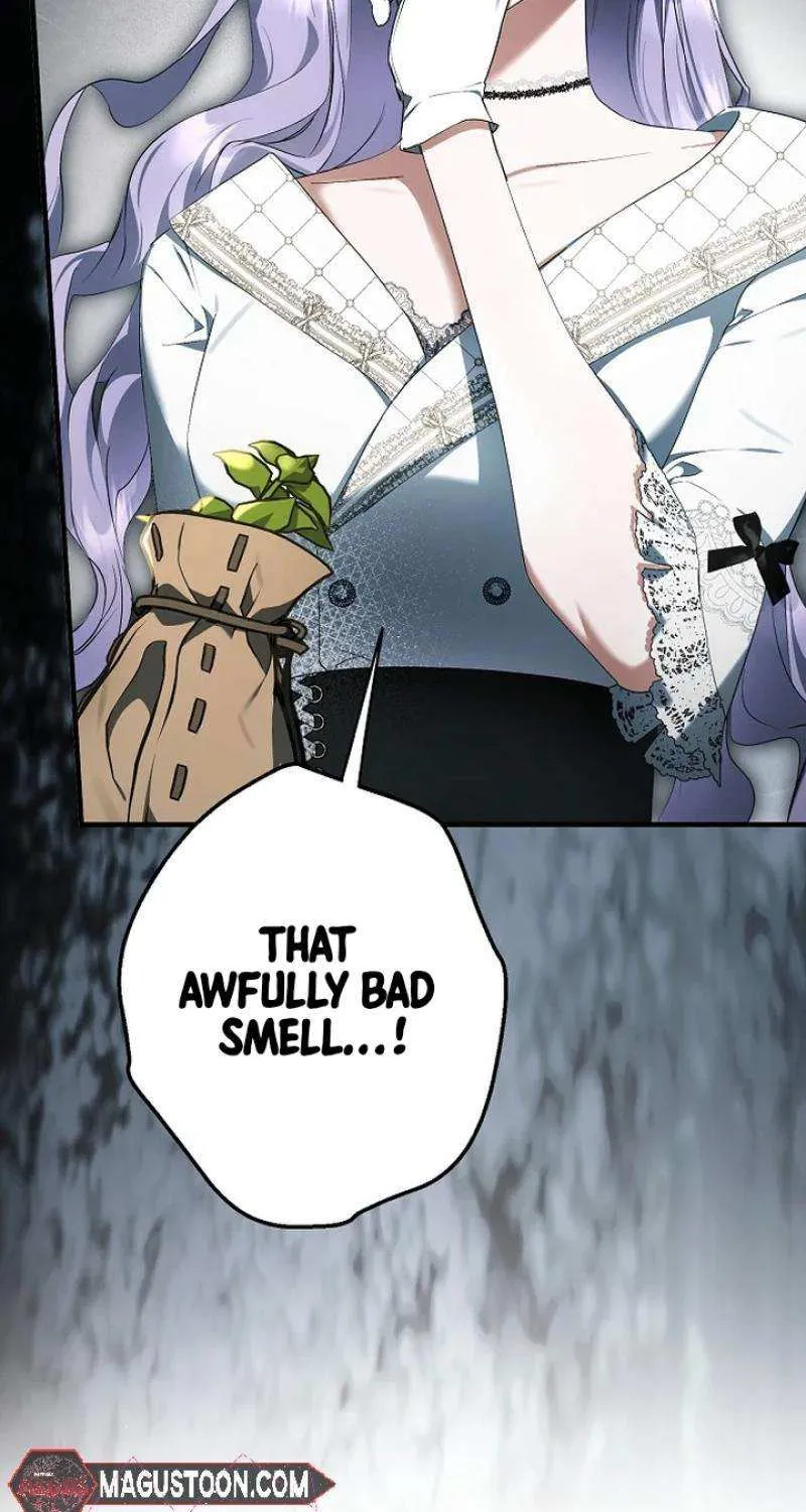 An Extra Stole the Male Leads Chapter 55 page 65 - 