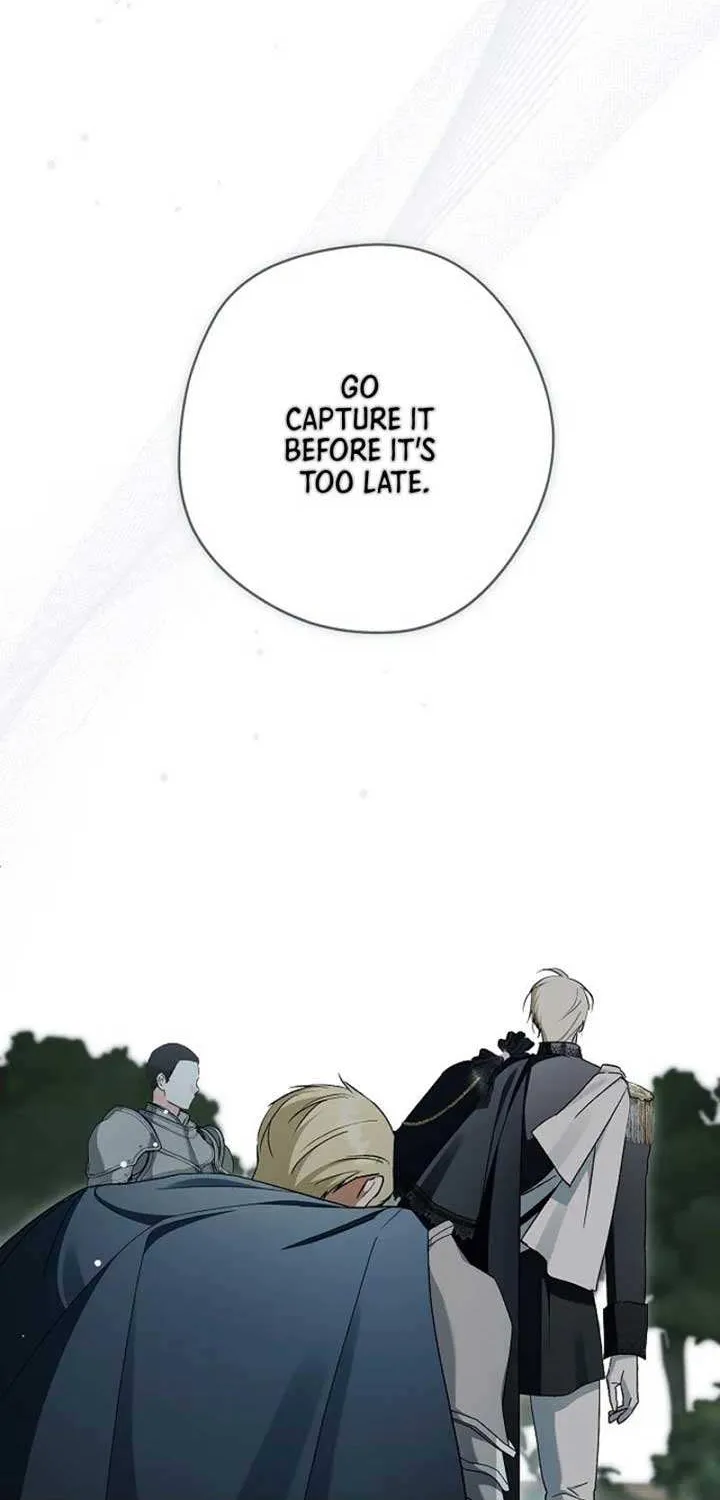An Extra Stole the Male Leads Chapter 60 page 42 - 