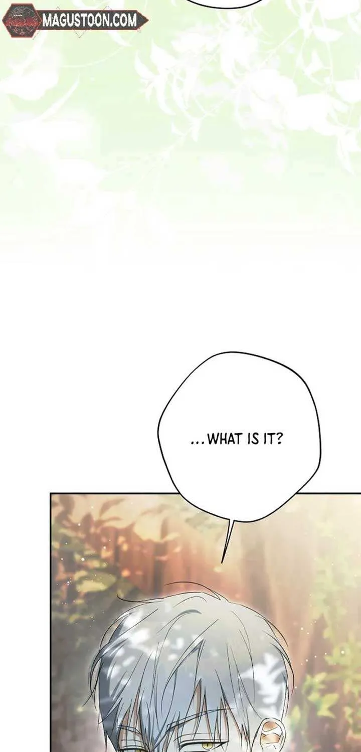 An Extra Stole the Male Leads Chapter 62 page 35 - 