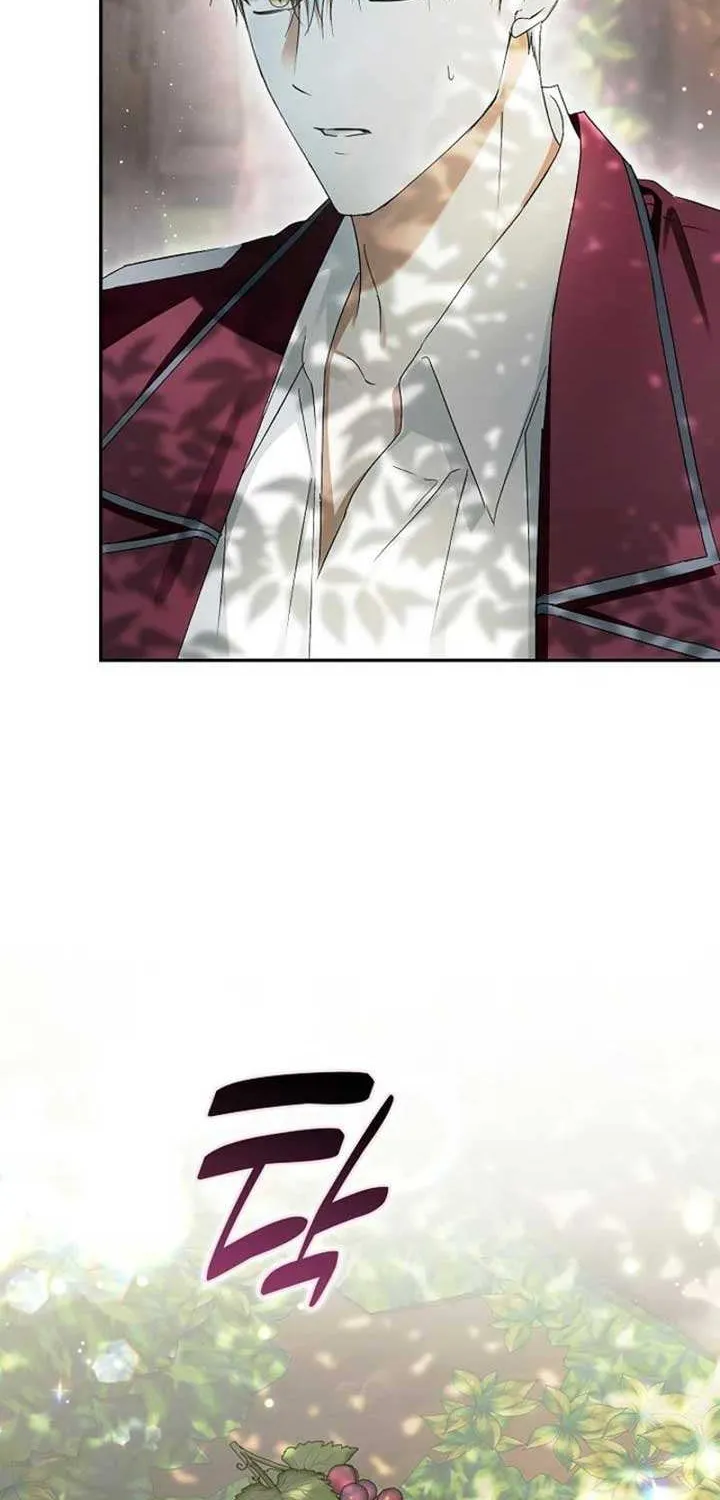 An Extra Stole the Male Leads Chapter 62 page 36 - 