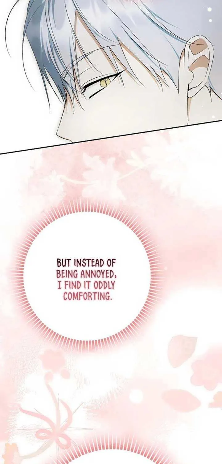 An Extra Stole the Male Leads Chapter 62 page 67 - 