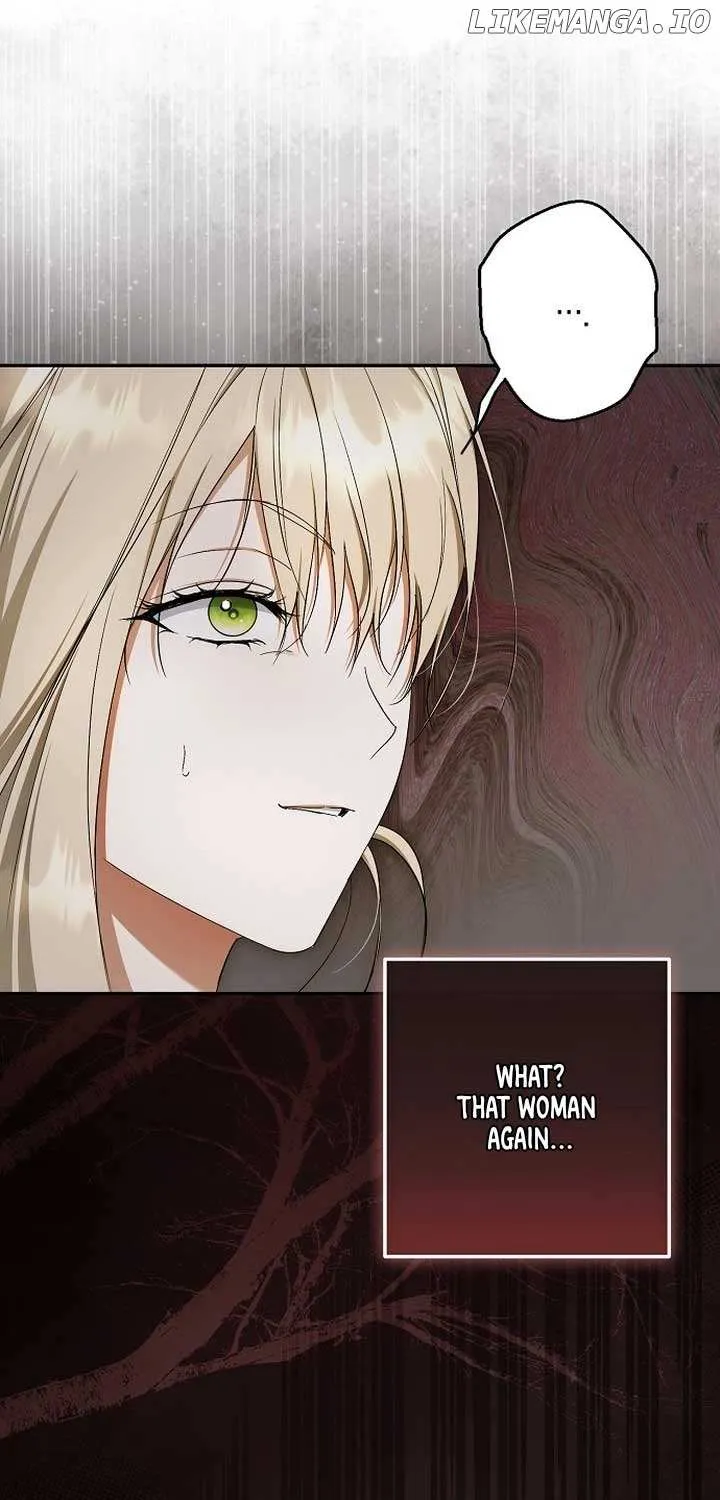 An Extra Stole the Male Leads Chapter 63 page 12 - 