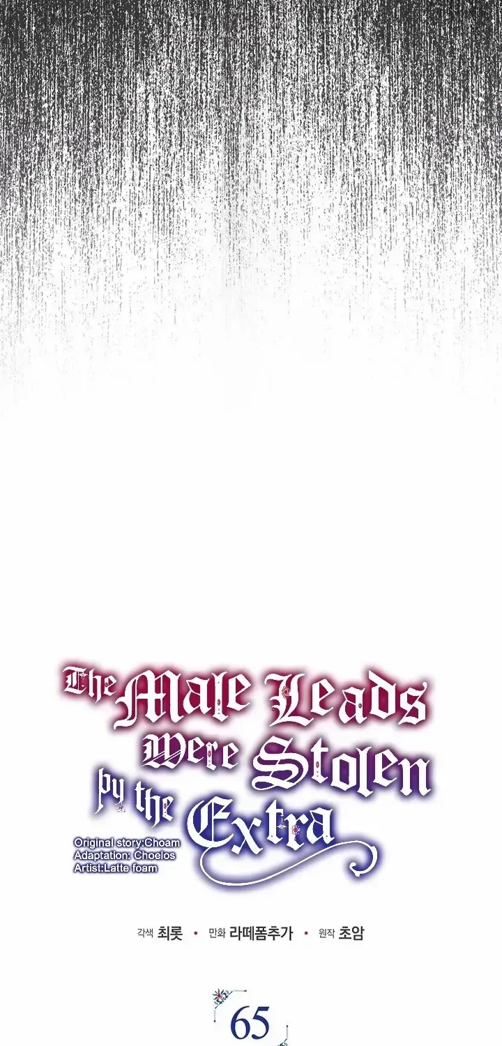 An Extra Stole the Male Leads Chapter 65 page 12 - 