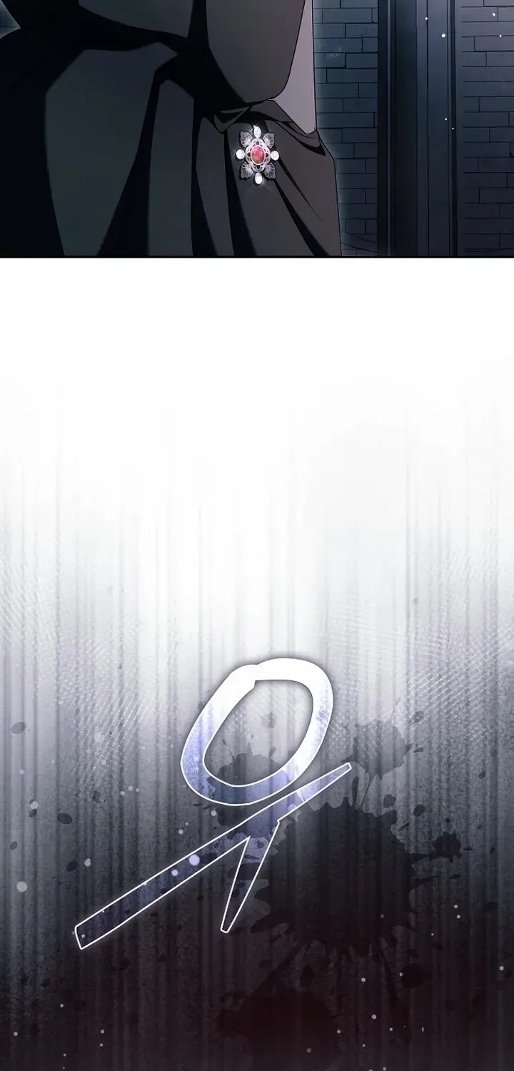 An Extra Stole the Male Leads Chapter 65 page 5 - 