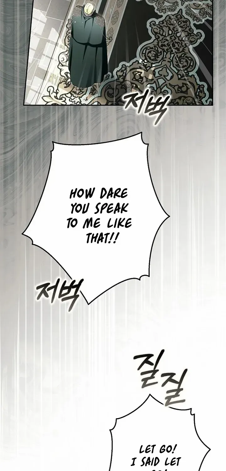 An Extra Stole the Male Leads Chapter 65 page 52 - 