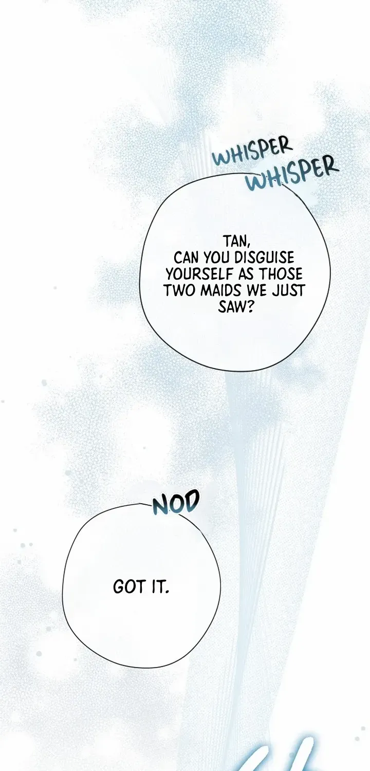 An Extra Stole the Male Leads Chapter 68 page 13 - 