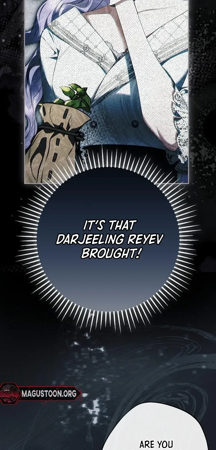 An Extra Stole the Male Leads Chapter 68 page 41 - 