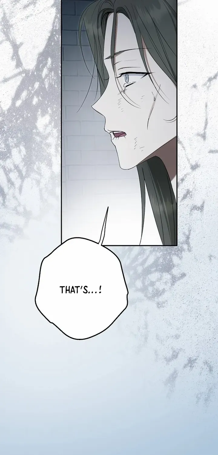 An Extra Stole the Male Leads Chapter 69 page 96 - 