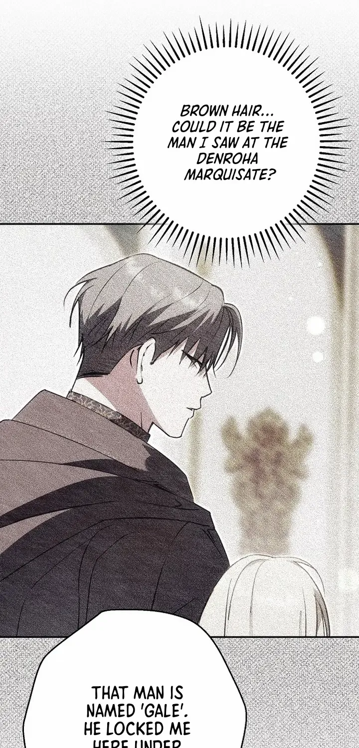 An Extra Stole the Male Leads Chapter 70 page 16 - 