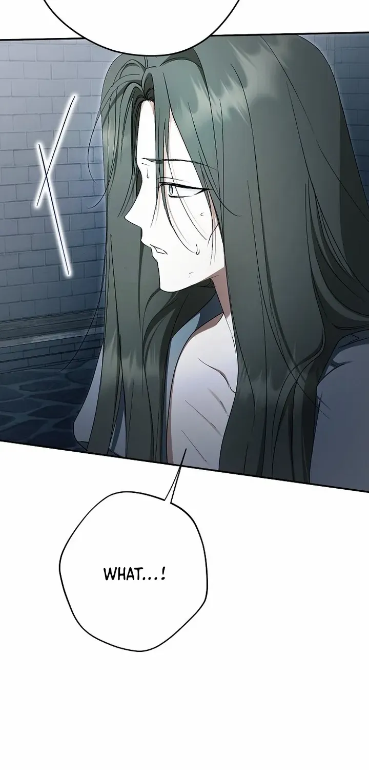 An Extra Stole the Male Leads Chapter 70 page 24 - 
