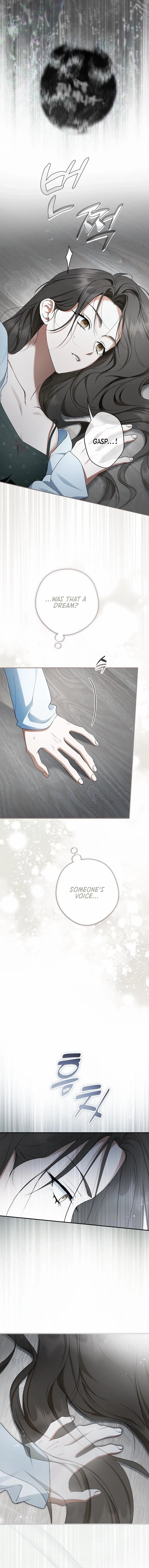 An Extra Stole the Male Leads Chapter 72 page 17 - 