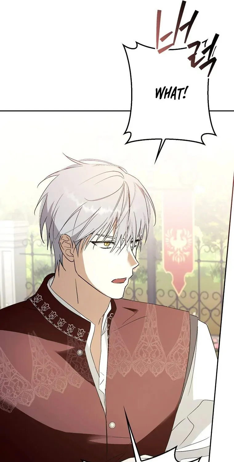 An Extra Stole the Male Leads Chapter 8 page 39 - 