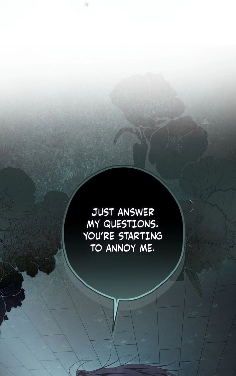 An Extra Stole the Male Leads Chapter 91 page 81 - 