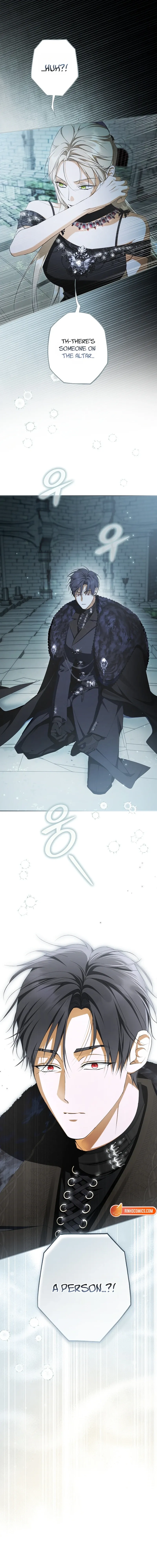 An Extra Stole the Male Leads Chapter 92 page 24 - 