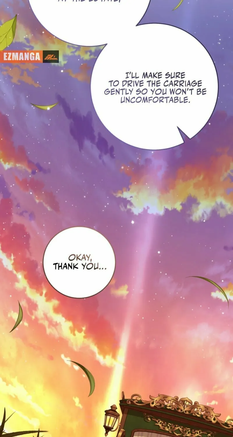 An Extra Who Wants to Escape the Obsessive Male Lead Chapter 17 page 13 - 