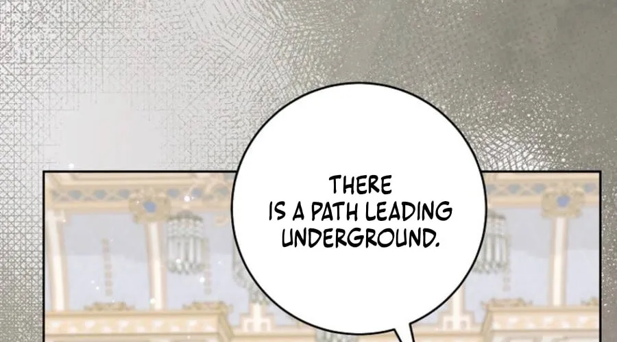 An Extra Who Wants to Escape the Obsessive Male Lead Chapter 24 page 12 - 
