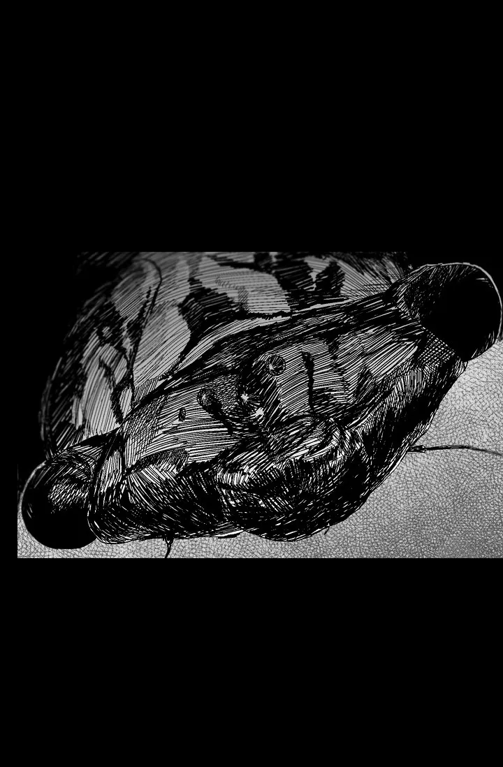 An Eye For An Eye Chapter 55 page 1 - 