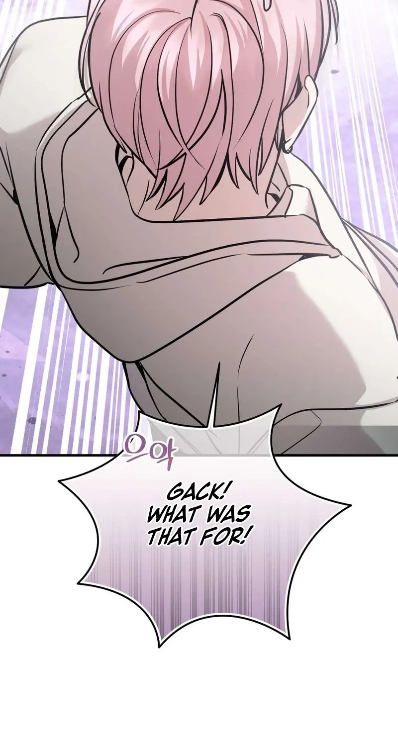 An Idol Is Obsessed With Me Chapter 13 page 24 - 