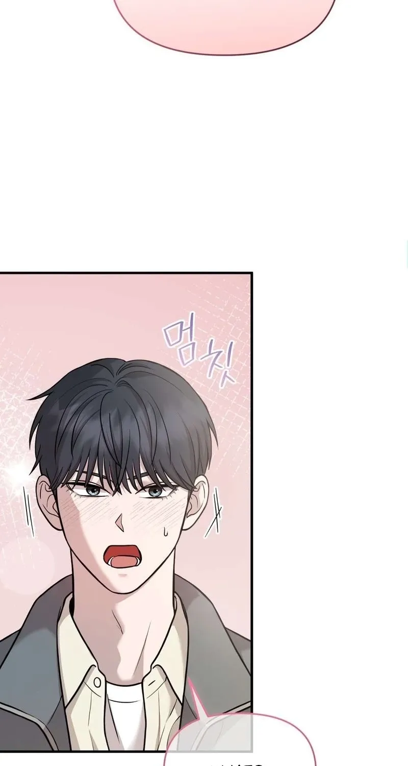 An Idol Is Obsessed With Me Chapter 13 page 67 - 