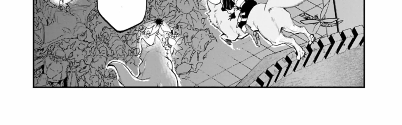 An Otherworldly Summoner Unrivaled in the Modern World Against Mythical Monsters ~The Love of the Strongest Summoned Beasts Who Made a Contract With Me Is Too Strong Chapter 6.1 page 9 - 