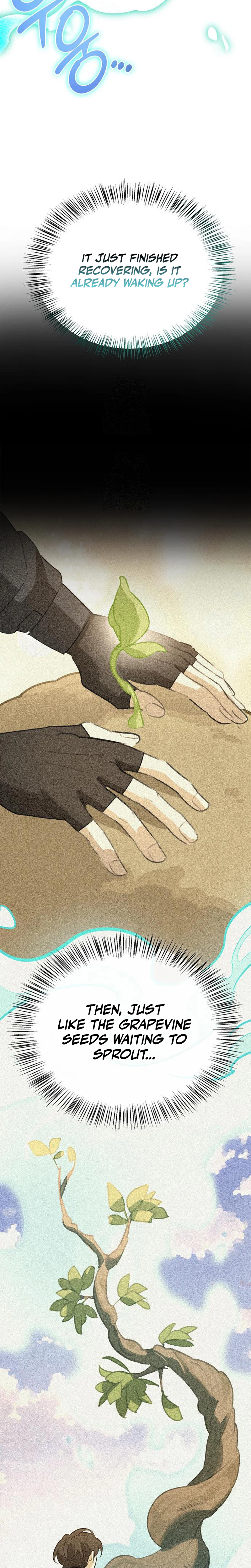 An S-Rank Hunter’s Healing Journey with Monsters Chapter 44 page 17 - 