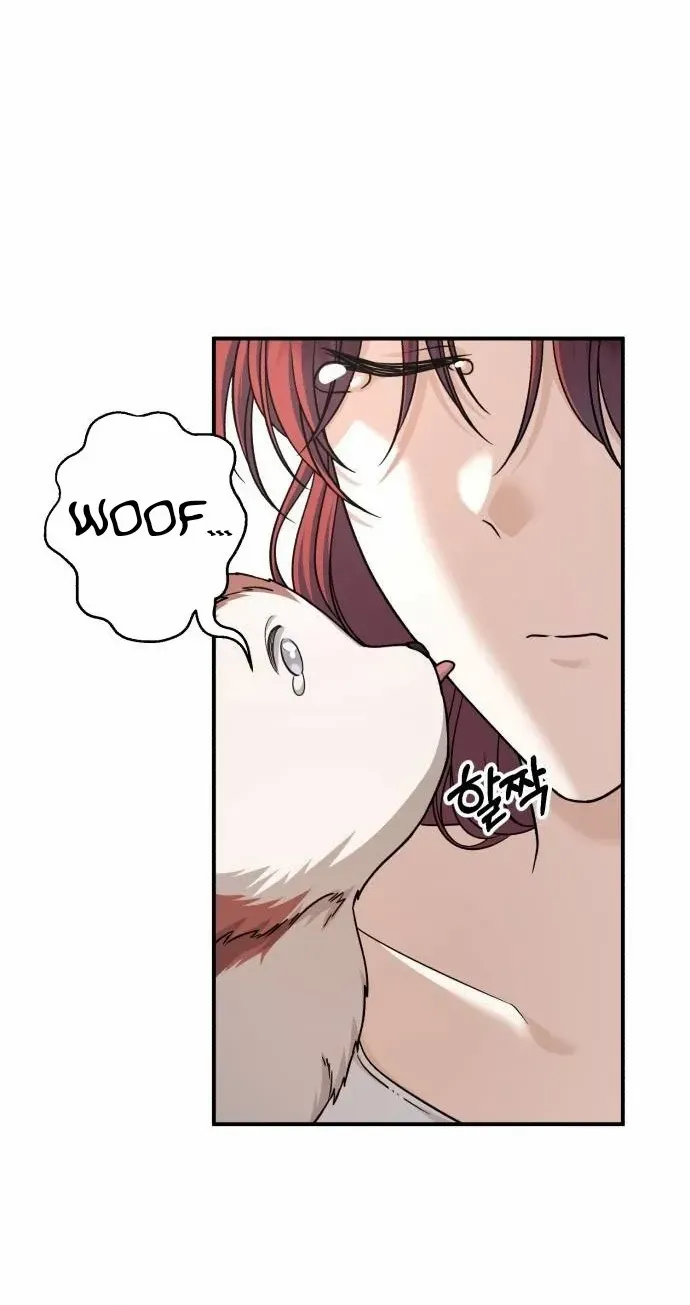 An Unexpected Engagement Chapter 31 page 11 - 