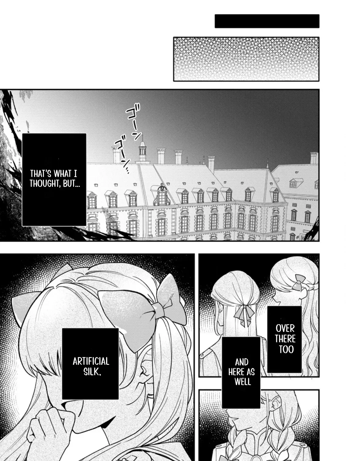 An Unremarkable Blessed Lady Chosen by the Lone Prince — Her True Power Awakens Chapter 8 page 17 - 
