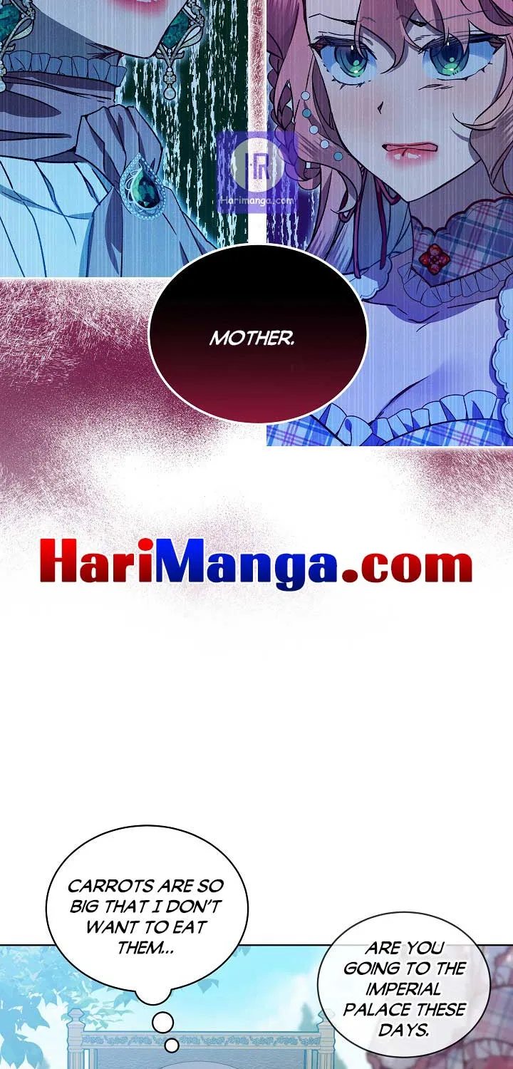 An Unseemly Lady Chapter 35 page 17 - 