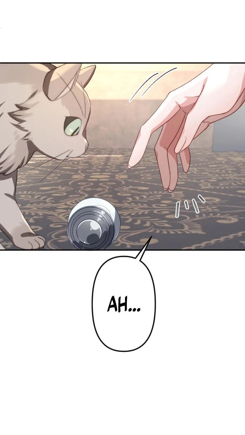 Anata ni Aisarenakute mo Kekkou desu Chapter 28 page 79 - 