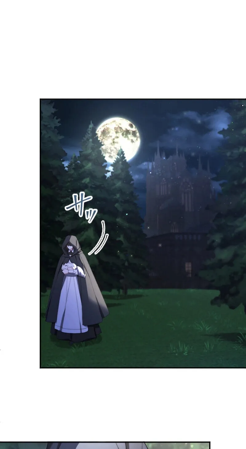 Anata ni Aisarenakute mo Kekkou desu Chapter 41 page 45 - 