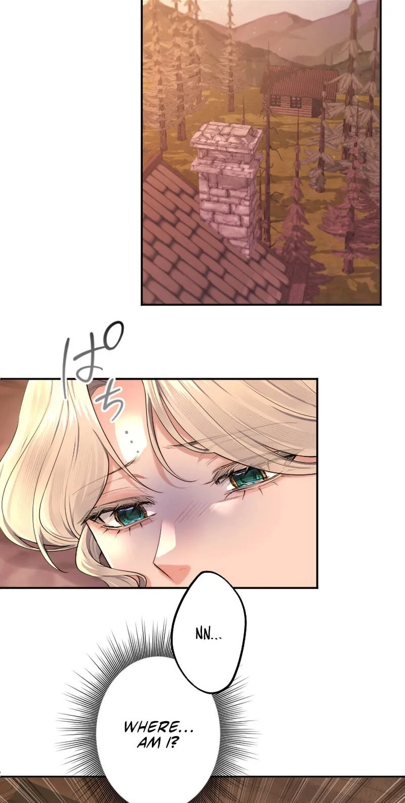 Anata ni Aisarenakute mo Kekkou desu Chapter 43 page 12 - 