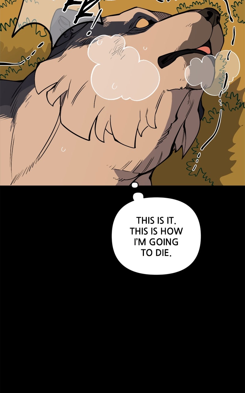Ancient Animal Tales Ep. 26 - The Tyrant (7) page 19 - 