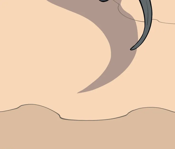 Ancient Animals Chapter 2 page 67 - 