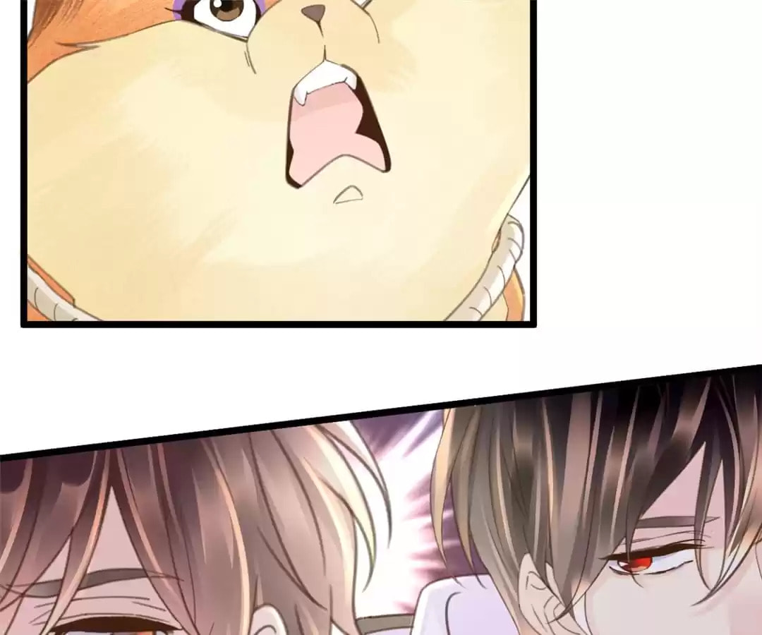 Ancient House Chapter 35 page 65 - 