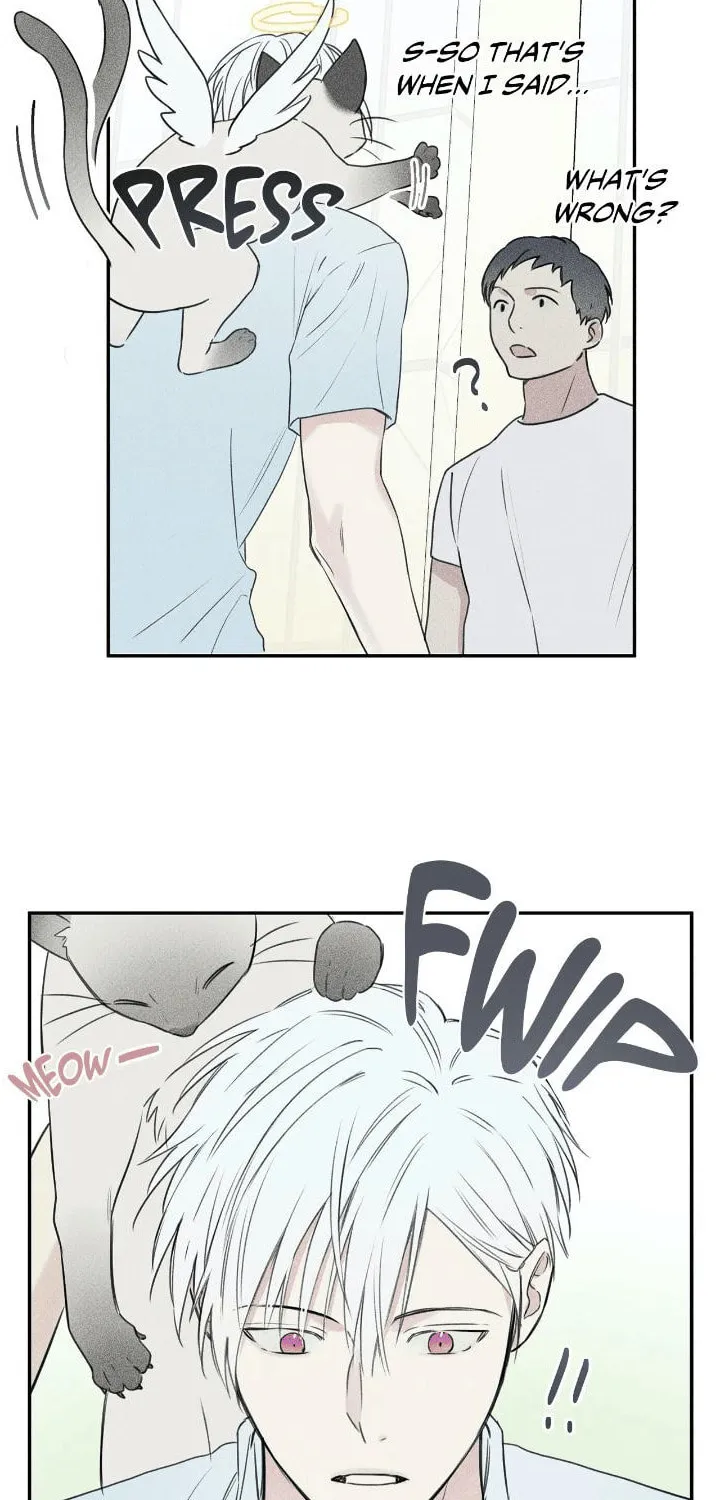 Angel Buddy Chapter 23 page 5 - 