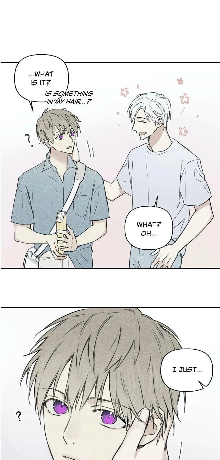 Angel Buddy Chapter 24 page 29 - 