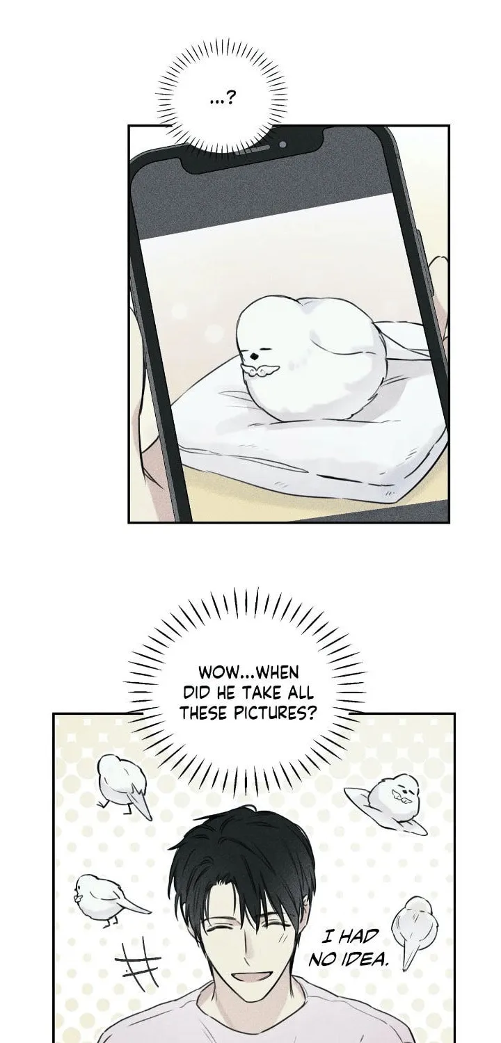 Angel Buddy Chapter 27 page 22 - 