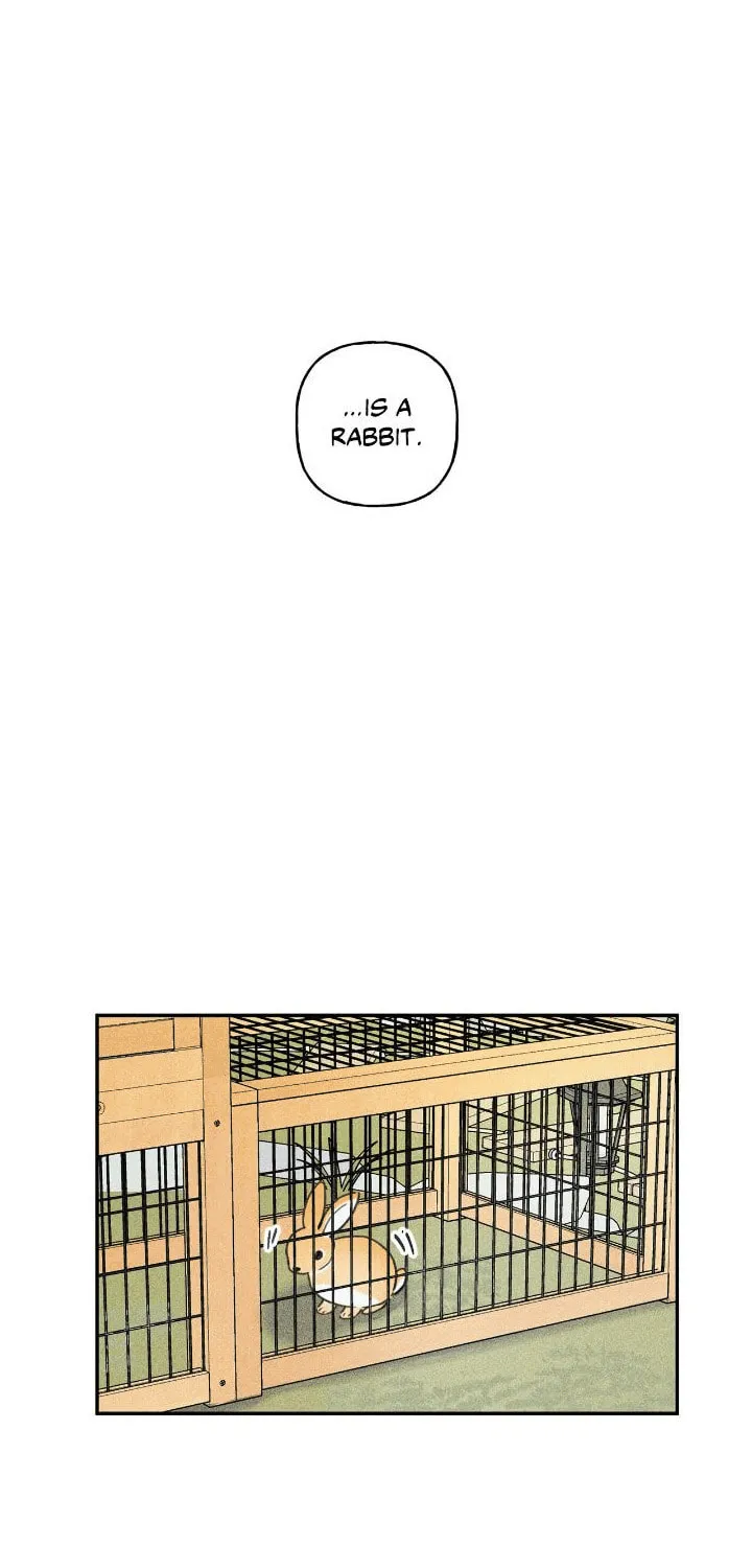 Angel Buddy Chapter 37 page 5 - 