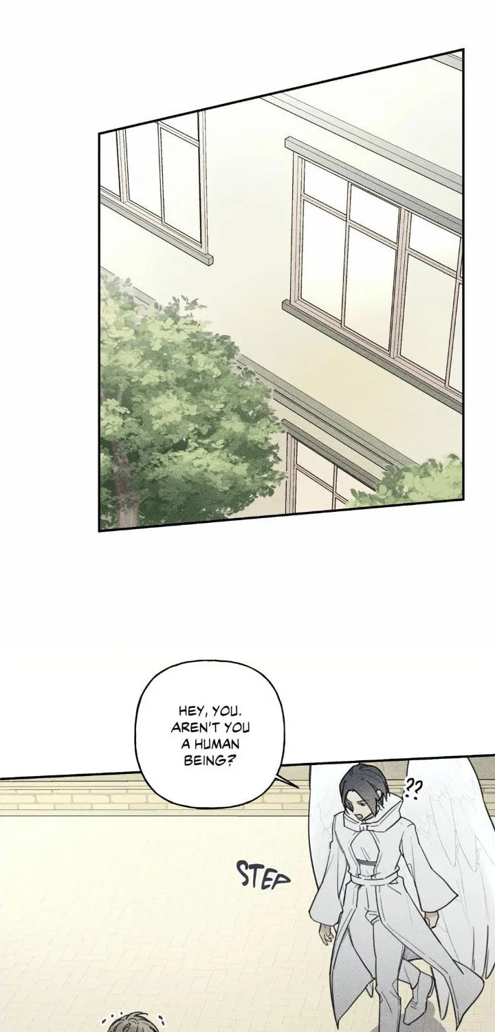 Angel Buddy Chapter 41 page 13 - 