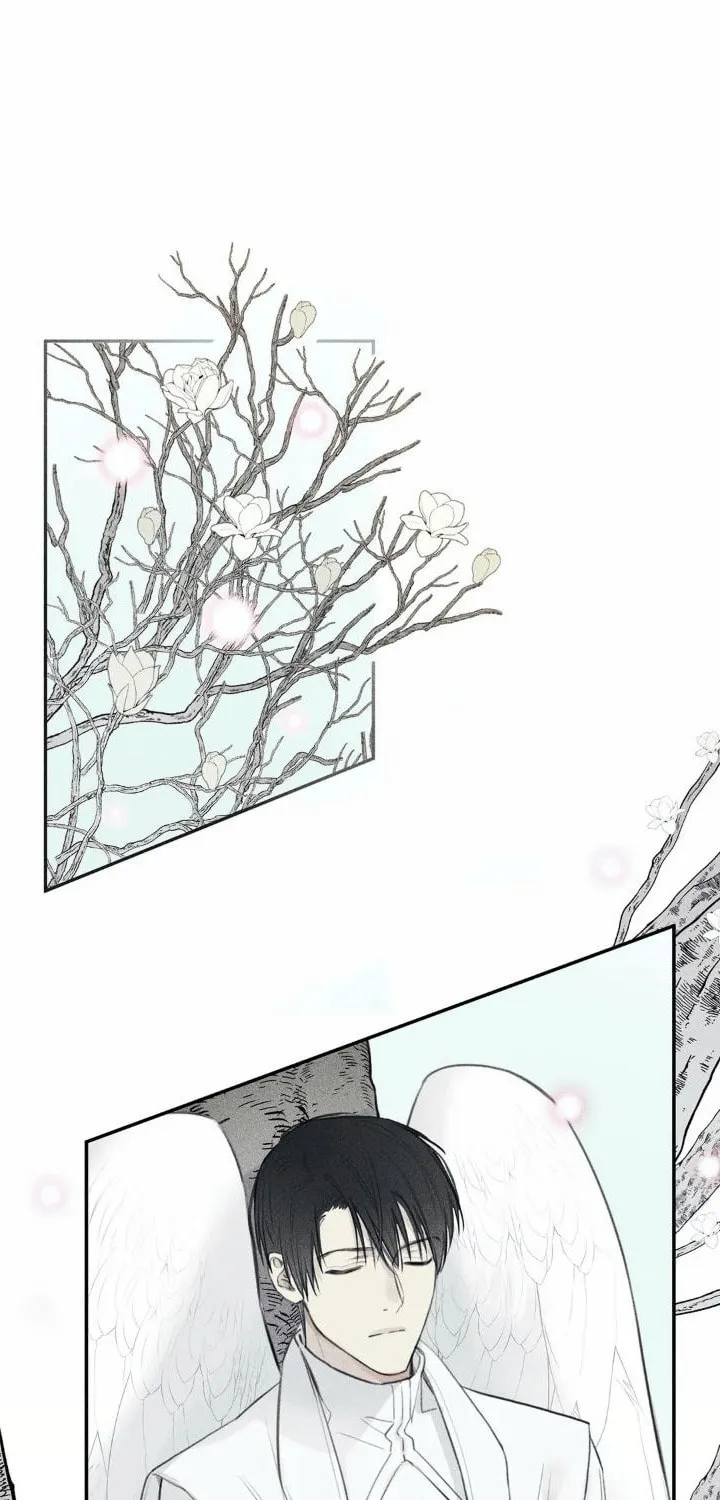 Angel Buddy Chapter 42 page 5 - 