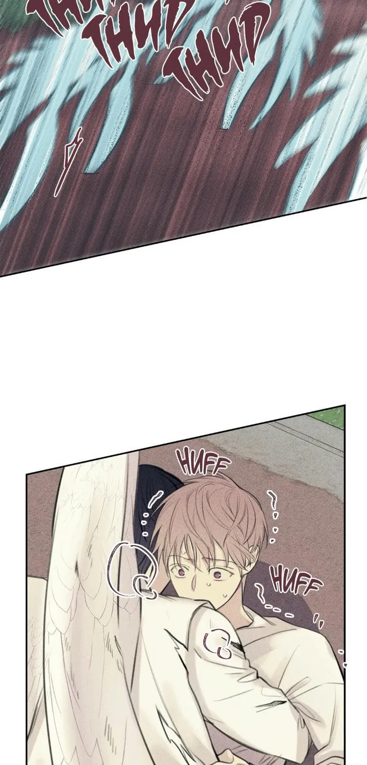Angel Buddy Chapter 47 page 46 - 